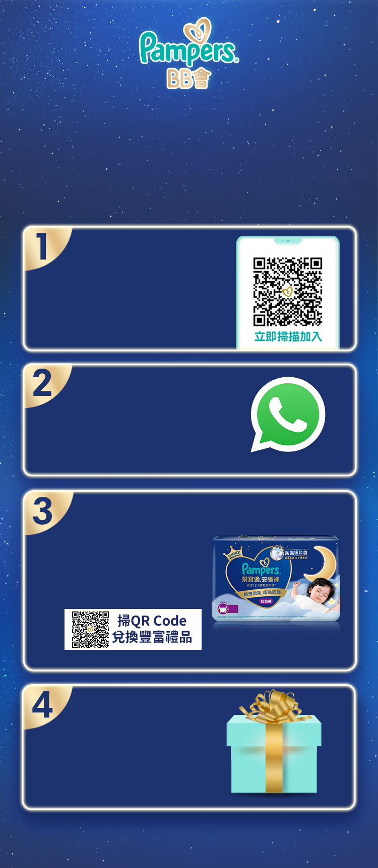 section_11_bg